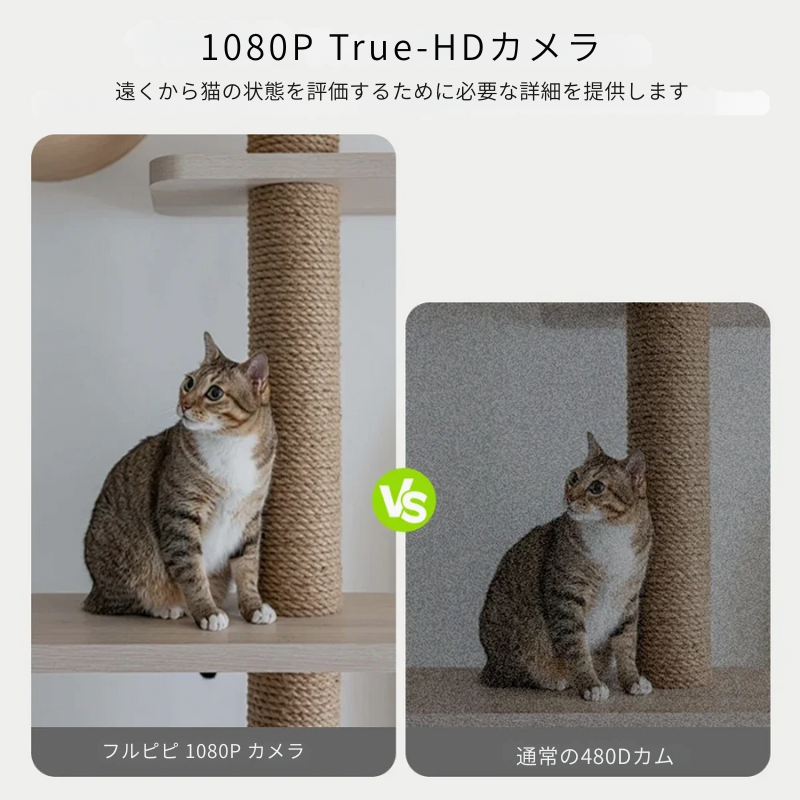 Furpipiスマート自動給餌器 – リアルタイム監視&遠隔操作でペットを見守る