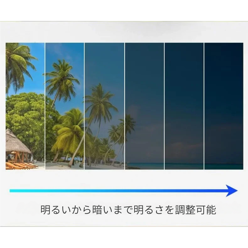 🧲 光に反応して色が変わるレンズ！調節可能な丸型メガネ 🔆