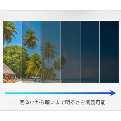 🧲 光に反応して色が変わるレンズ！調節可能な丸型メガネ 🔆